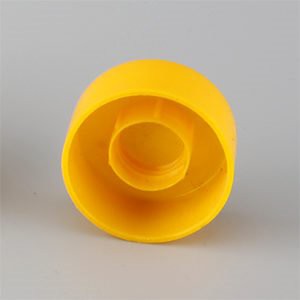 Toothpaste Cap